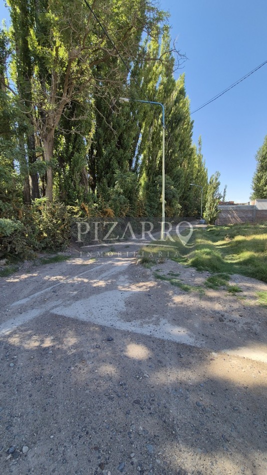 Lote Rincon De Valle, Centenario
