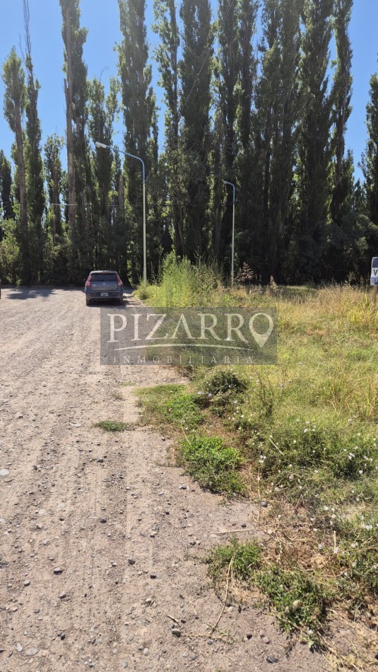 Lote Rincon De Valle, Centenario