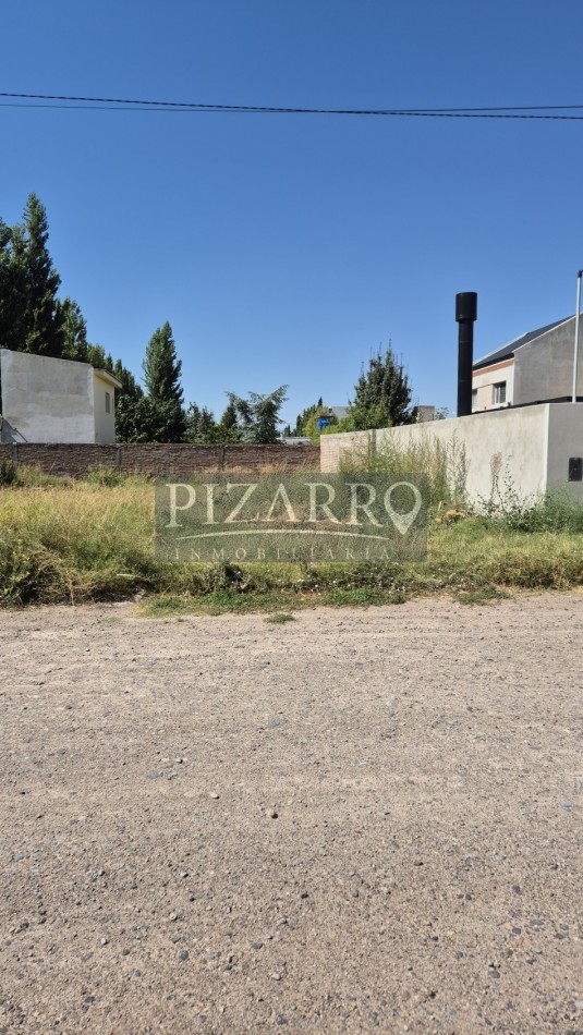 Lote Rincon De Valle, Centenario