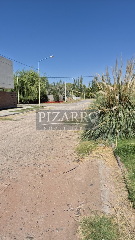 Lote Rincon De Valle, Centenario