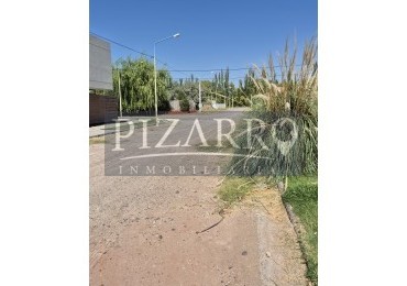 Lote Rincon De Valle, Centenario
